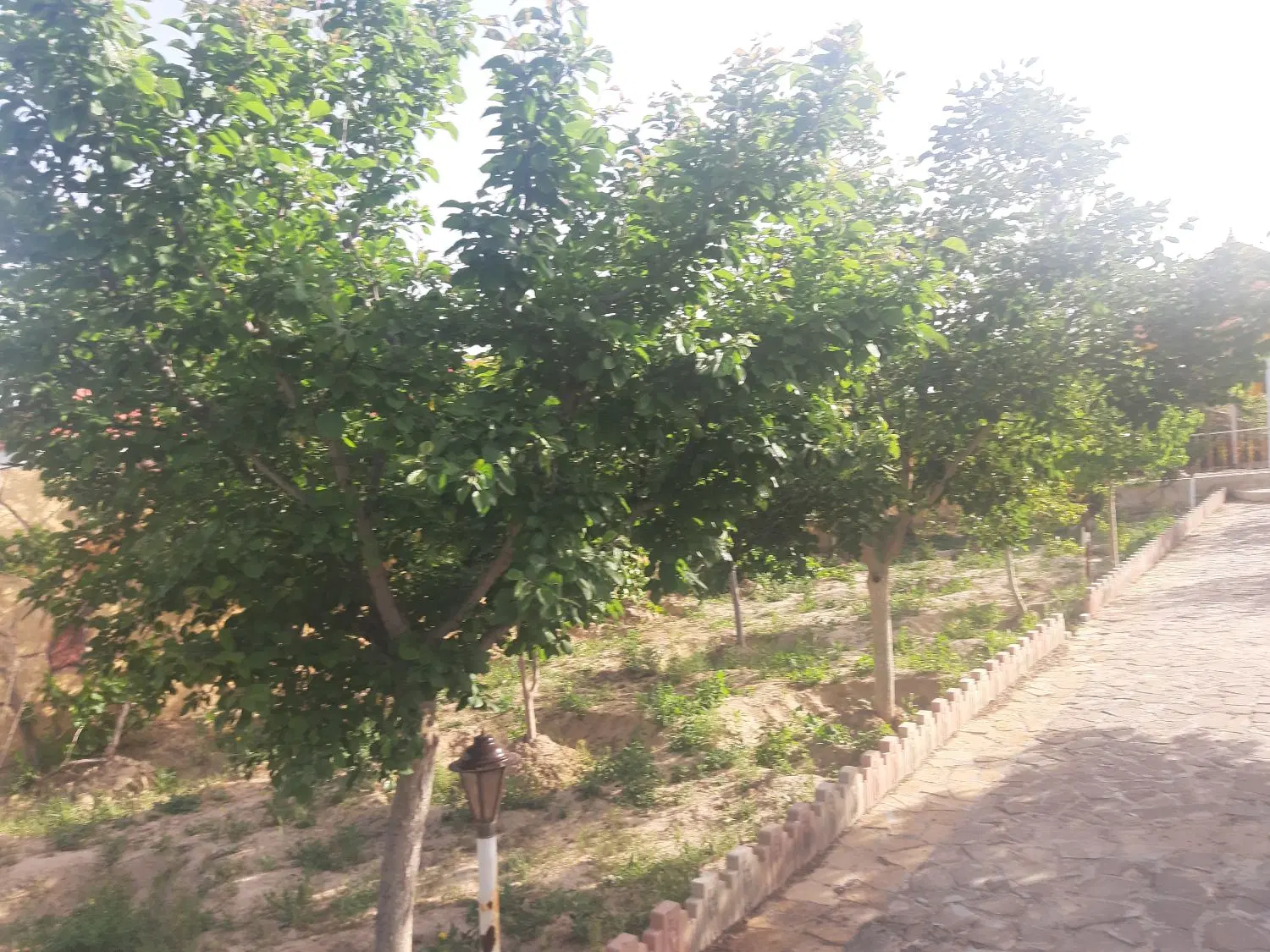 تصویر 7