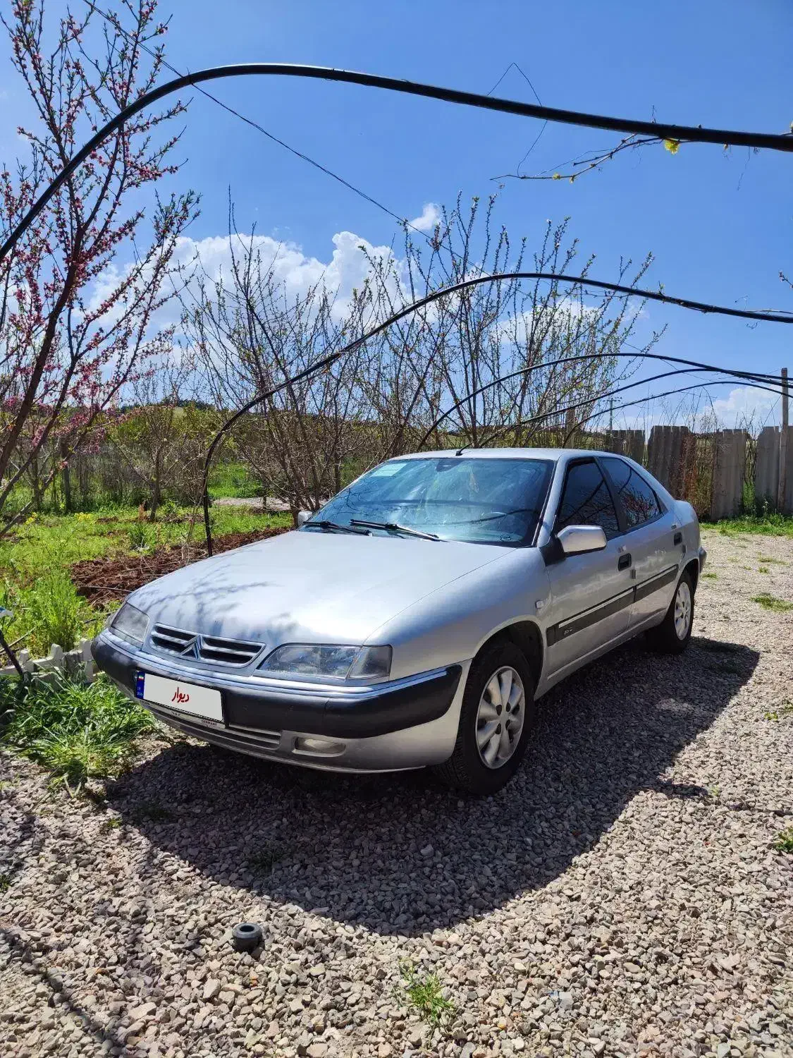 زانتیا مدل 84 سرسیلندر نو|خودرو سواری و وانت|خرمآباد, |دیوار