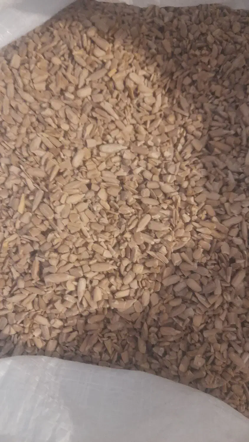 مغز تخمه شکسته برای روغنگیری|عمده‌فروشی|مشهد, عامل|دیوار