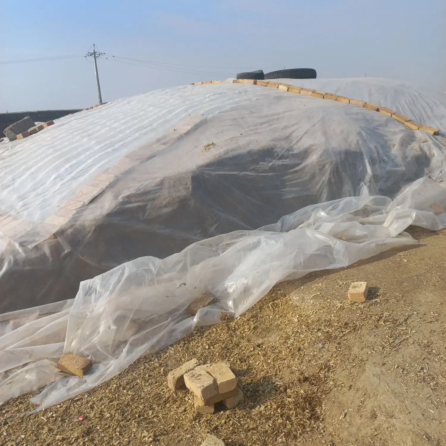 ذرت علوفه بسته ای|لوازم جانبی حیوانات|کنگاور, |دیوار