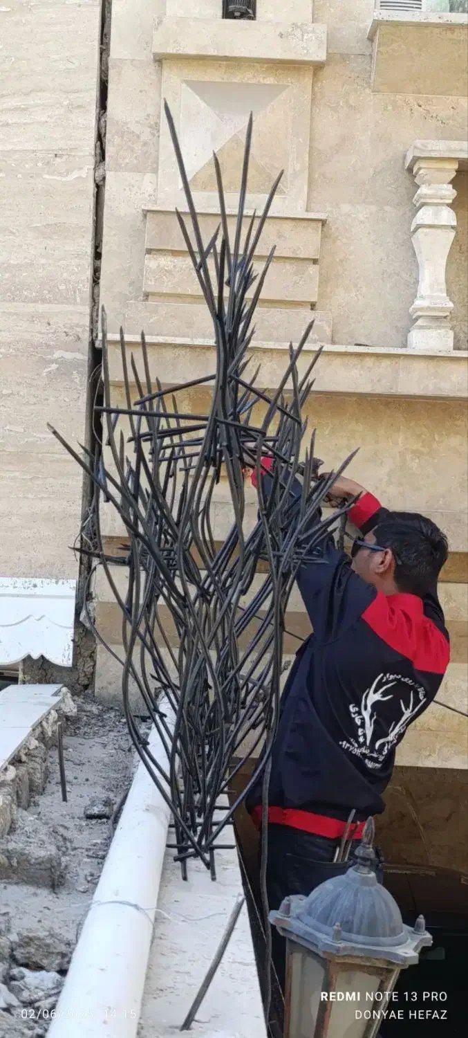 حفاظ روی دیوار شاخگوزنی.بوته خاری نرده پنجره در|خدمات پیشه و مهارت|مشهد, امیریه|دیوار