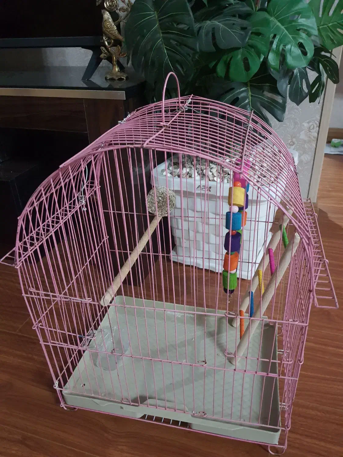 قفس|لوازم جانبی حیوانات|همدان, |دیوار