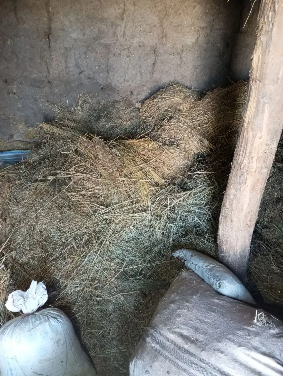 علوفه فله ای. ودوباردان کاه|لوازم جانبی حیوانات|اهر, |دیوار