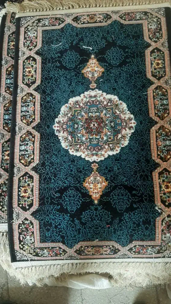 فروش تعداد زیادی پادری ب قیمت عمده در بندرعباس|پادری|بندرعباس, |دیوار