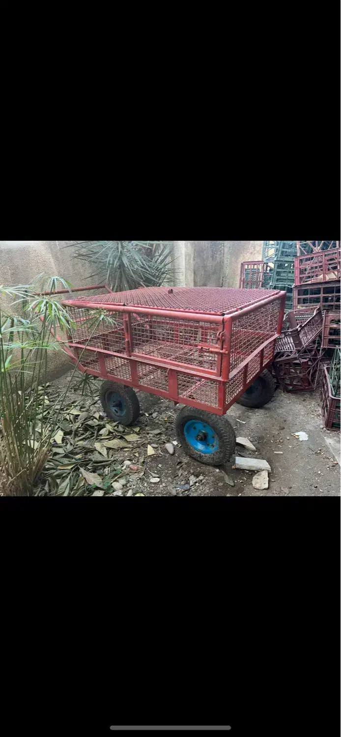 گاری|کالسکه و لوازم جانبی|رضوانشهر, |دیوار