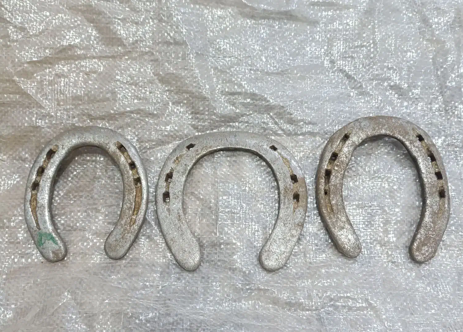 نعل اسب|اسب و تجهیزات اسبسواری|زاهدان, |دیوار