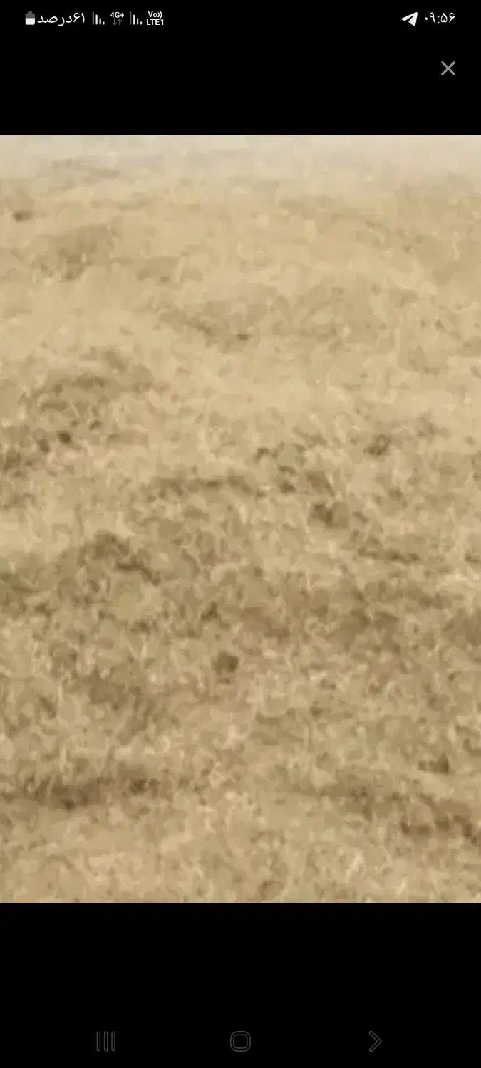 کاه دیم|لوازم جانبی حیوانات|سیلاخور, |دیوار