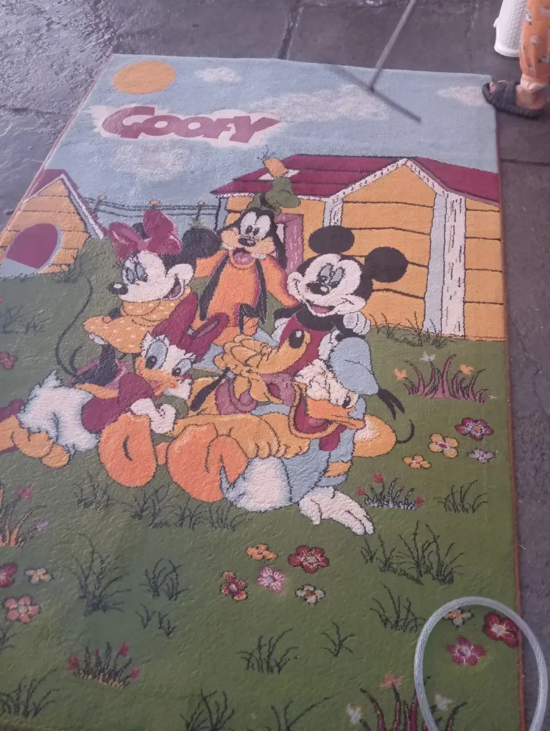 فرش اتاق بچه|فرش|سهند, |دیوار