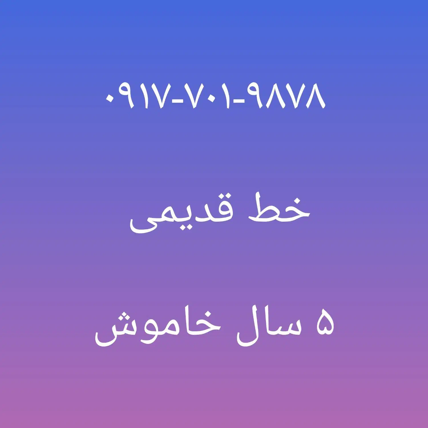 خط دایمی همراه اول قدیمی|سیم‌کارت|شیراز, اصلاح‌نژاد|دیوار