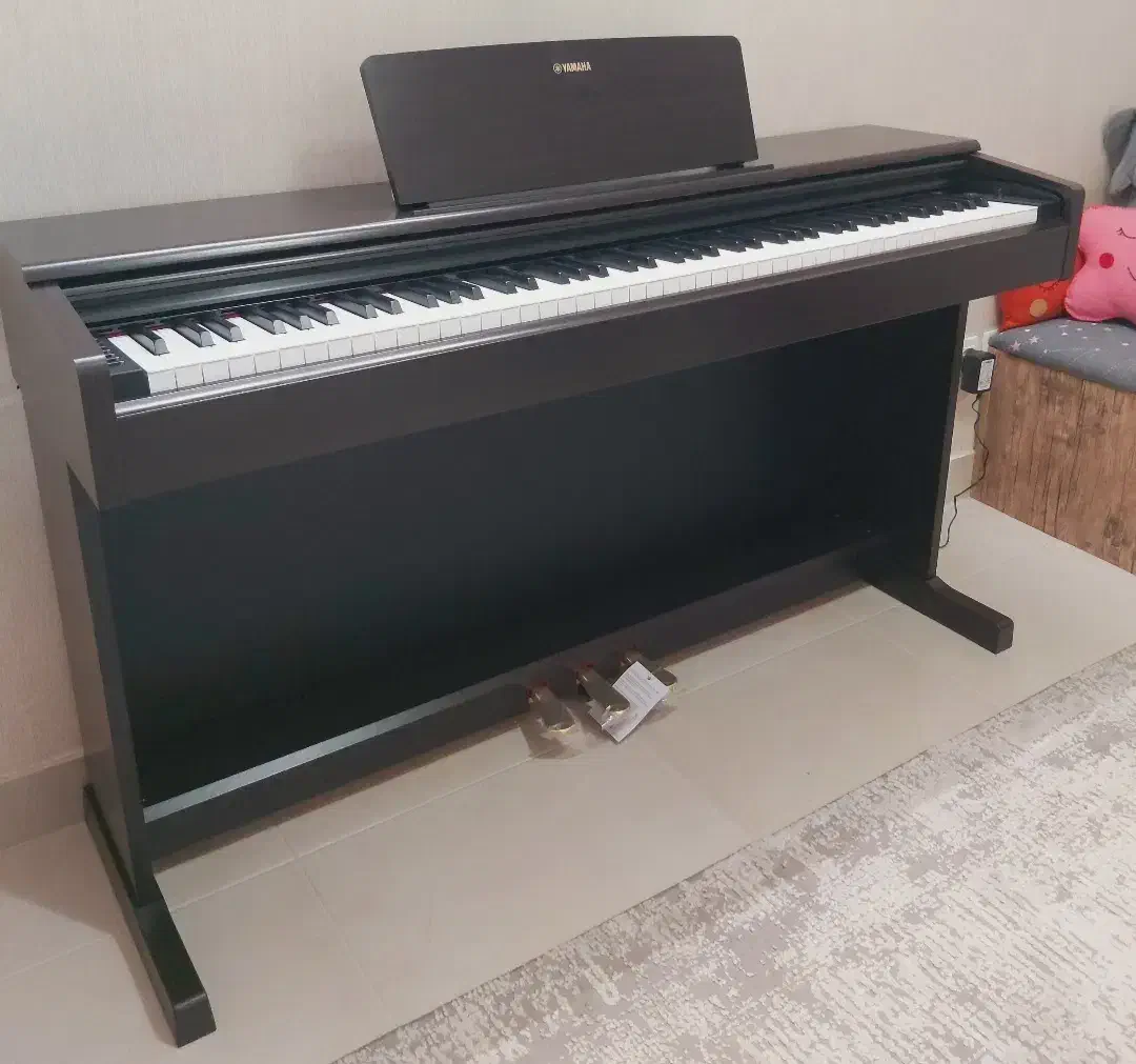 ydp 145|پیانو، کیبورد، آکاردئون|اراک, |دیوار