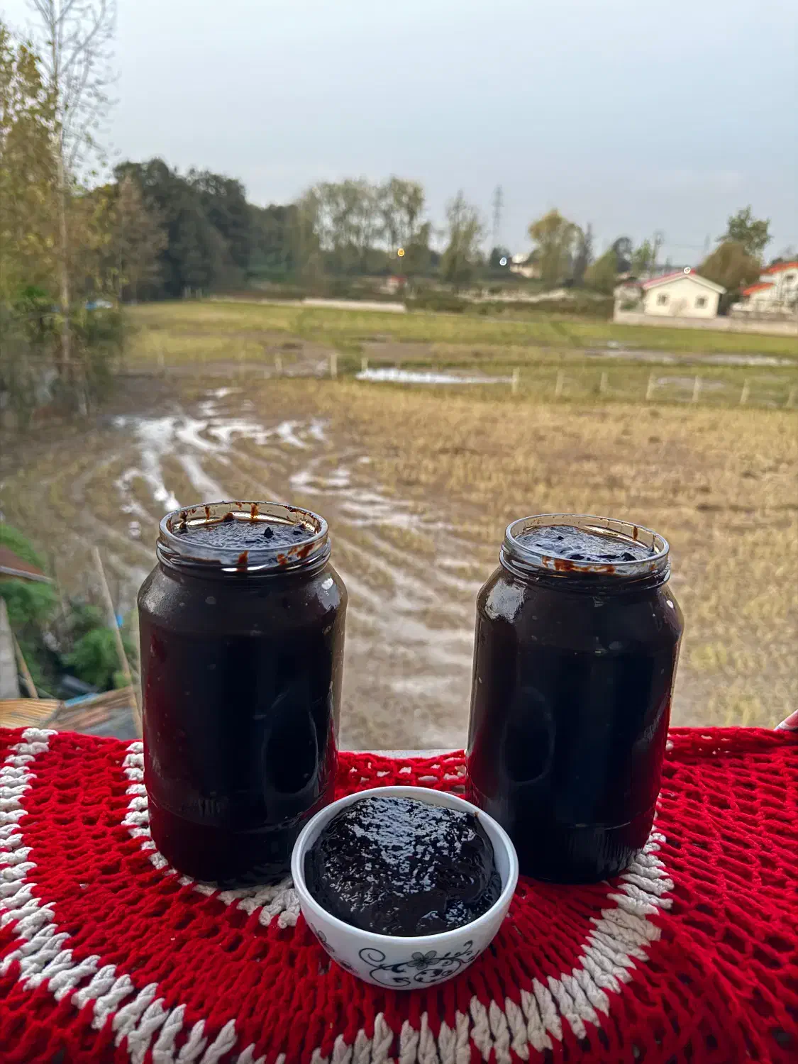 رب انار|خوردنی و آشامیدنی|رشت, پیرکلاچای|دیوار