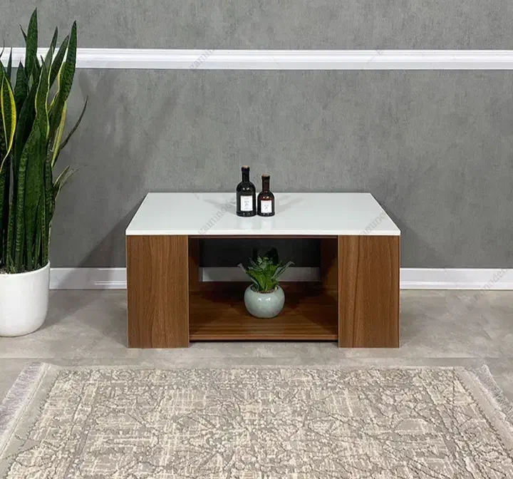 جلو مبلی|مبلمان خانگی و میز عسلی|خورموج, |دیوار