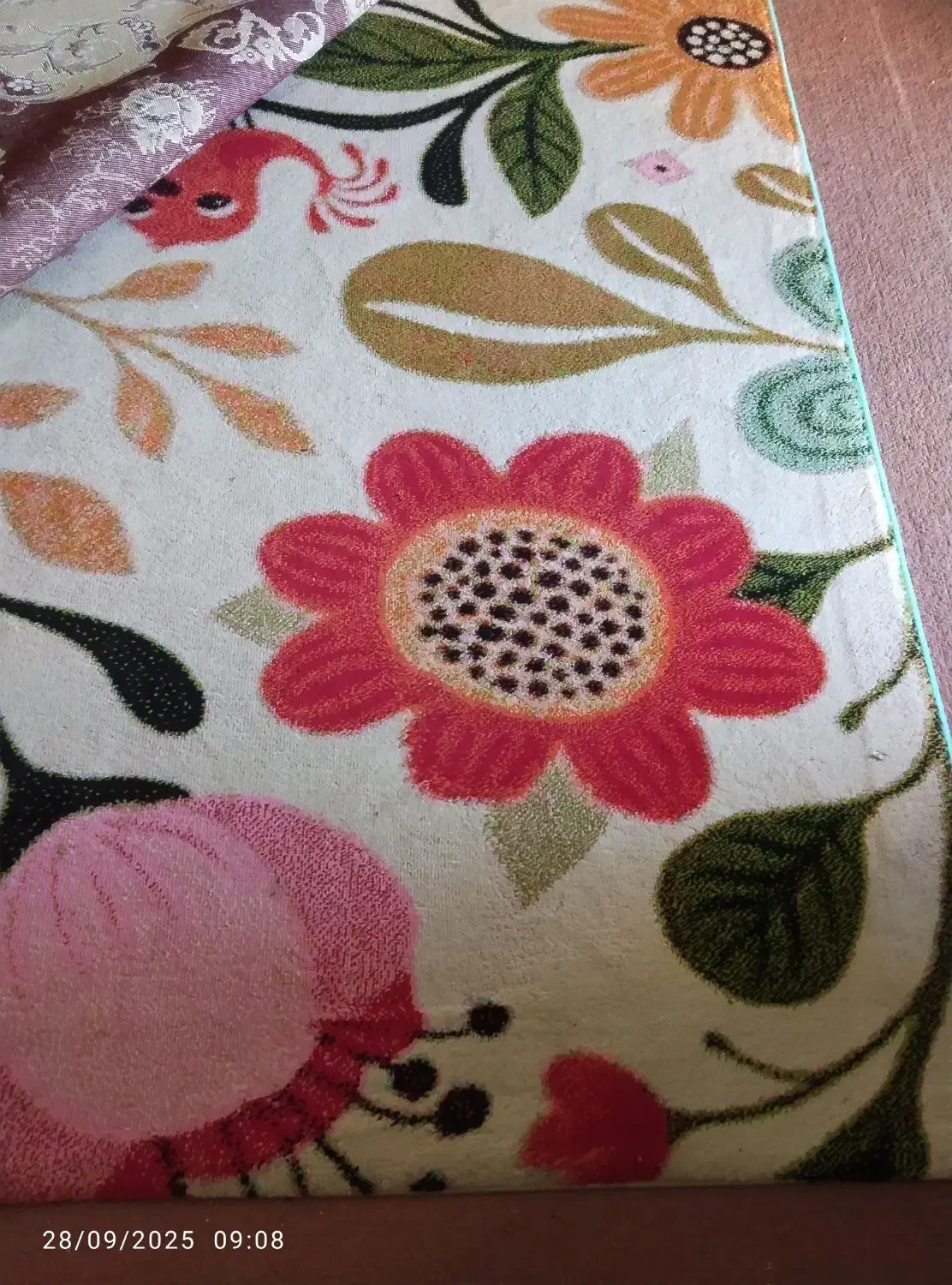 گلیم فرش ۱۲ متری|گلیم، جاجیم، گبه|اندیمشک, |دیوار