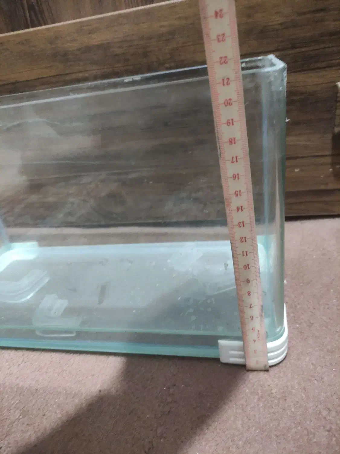 آکواریوم تتراریوم کوچک|ماهی|قدس, شهرقدس|دیوار