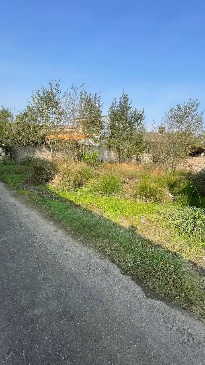 زمین مسکونی|فروش زمین و ملک کلنگی|رشت, احمد گوراب|دیوار