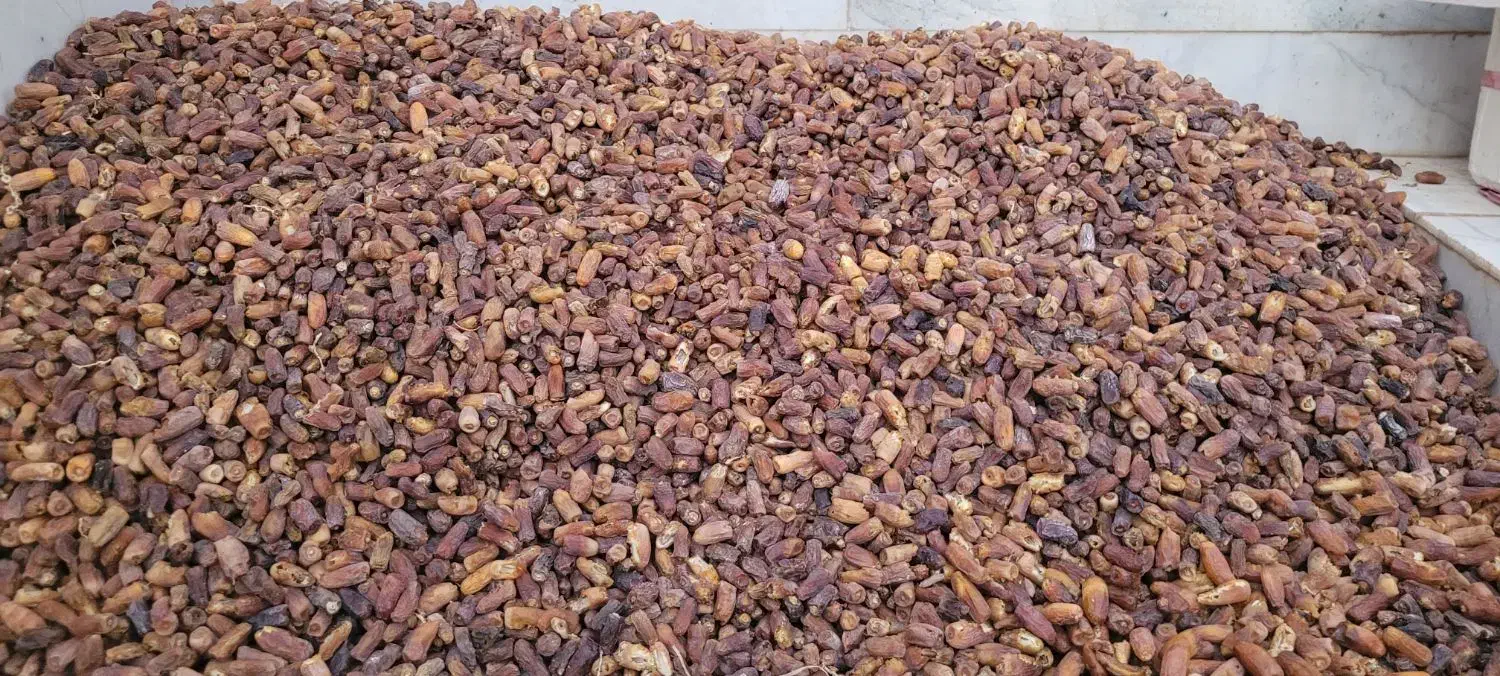 خرمای پیارم و ضایعات پیارم|حراج|داراب, |دیوار