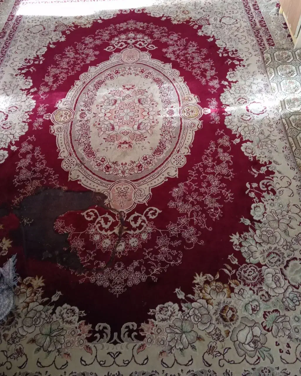 قالی دوازده متری|فرش|زاهدان, |دیوار
