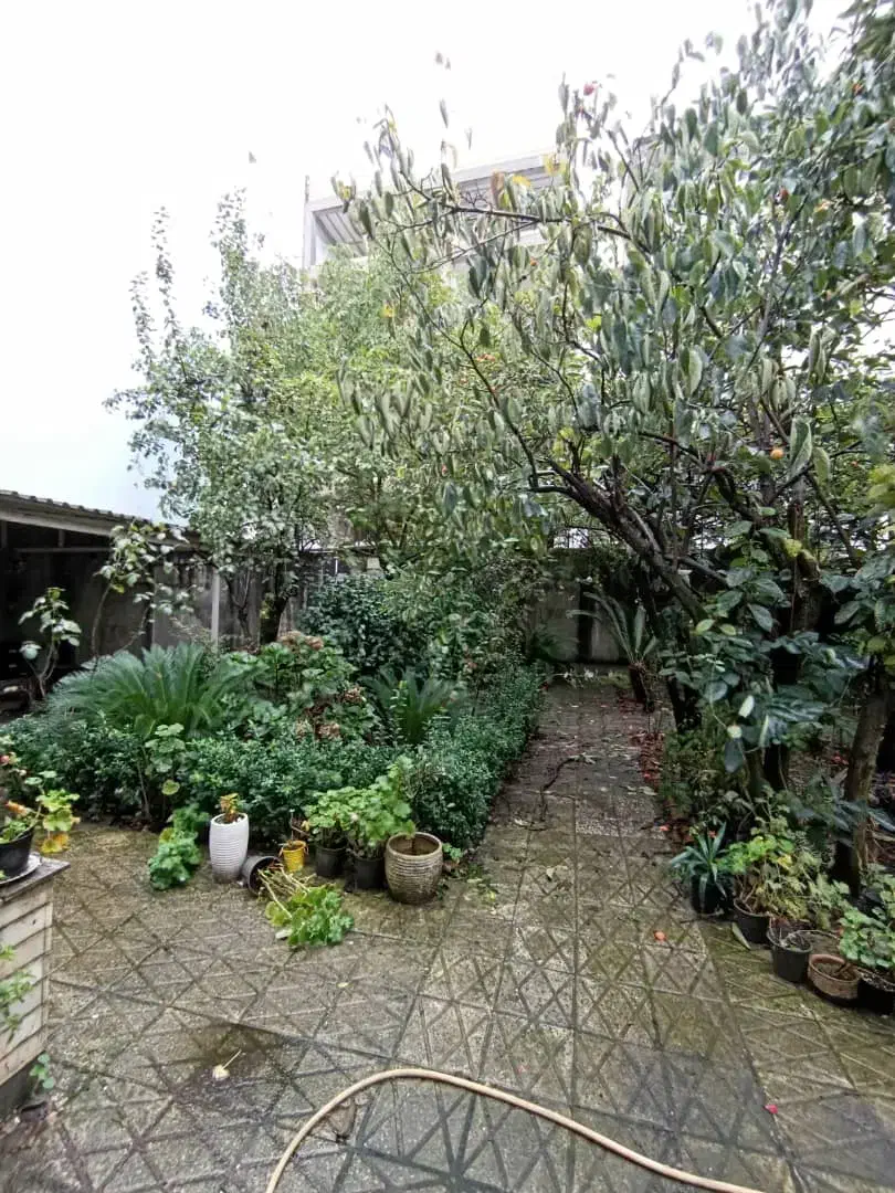 ویلای ۳۶۰متری دوکله/مناسب زندگی یا کاربری کافه|اجارهٔ خانه و ویلا|رشت, انصاری|دیوار