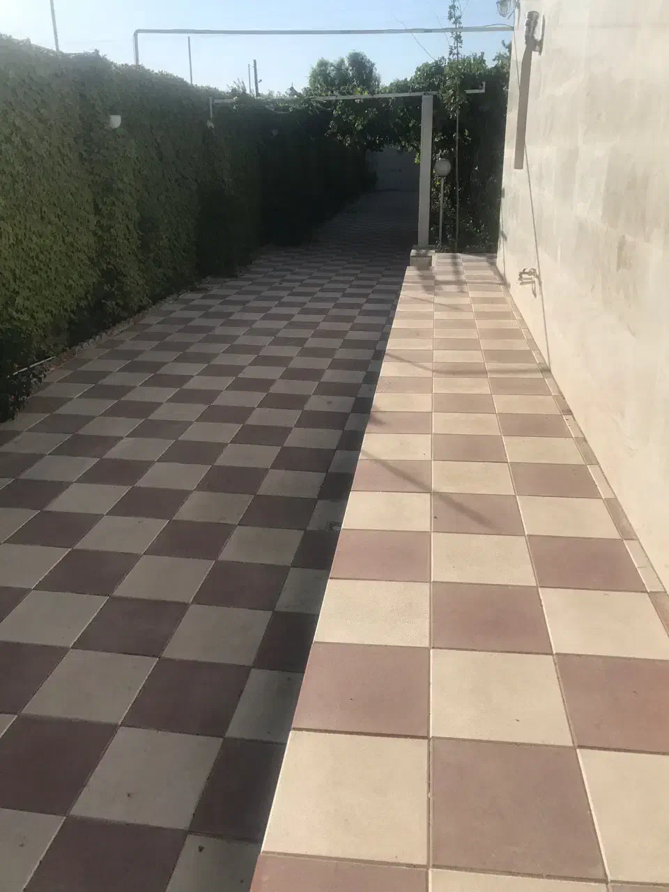 عرضه انواع موزاییک|مصالح و تجهیزات ساختمان|کرمان, |دیوار