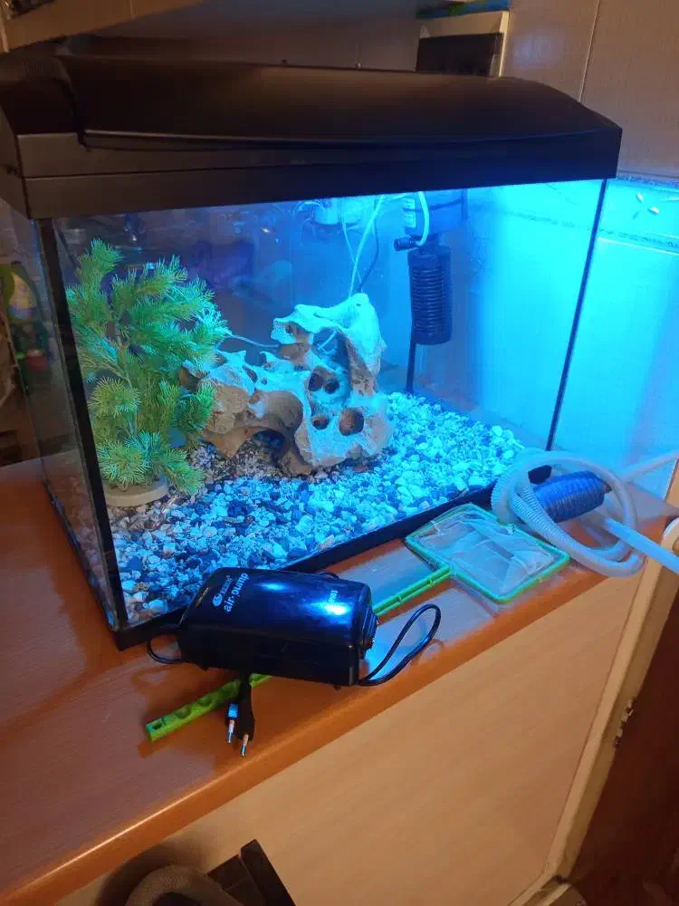 اکواریوم شرکتی|ماهی|تهران, افسریه شمالی|دیوار