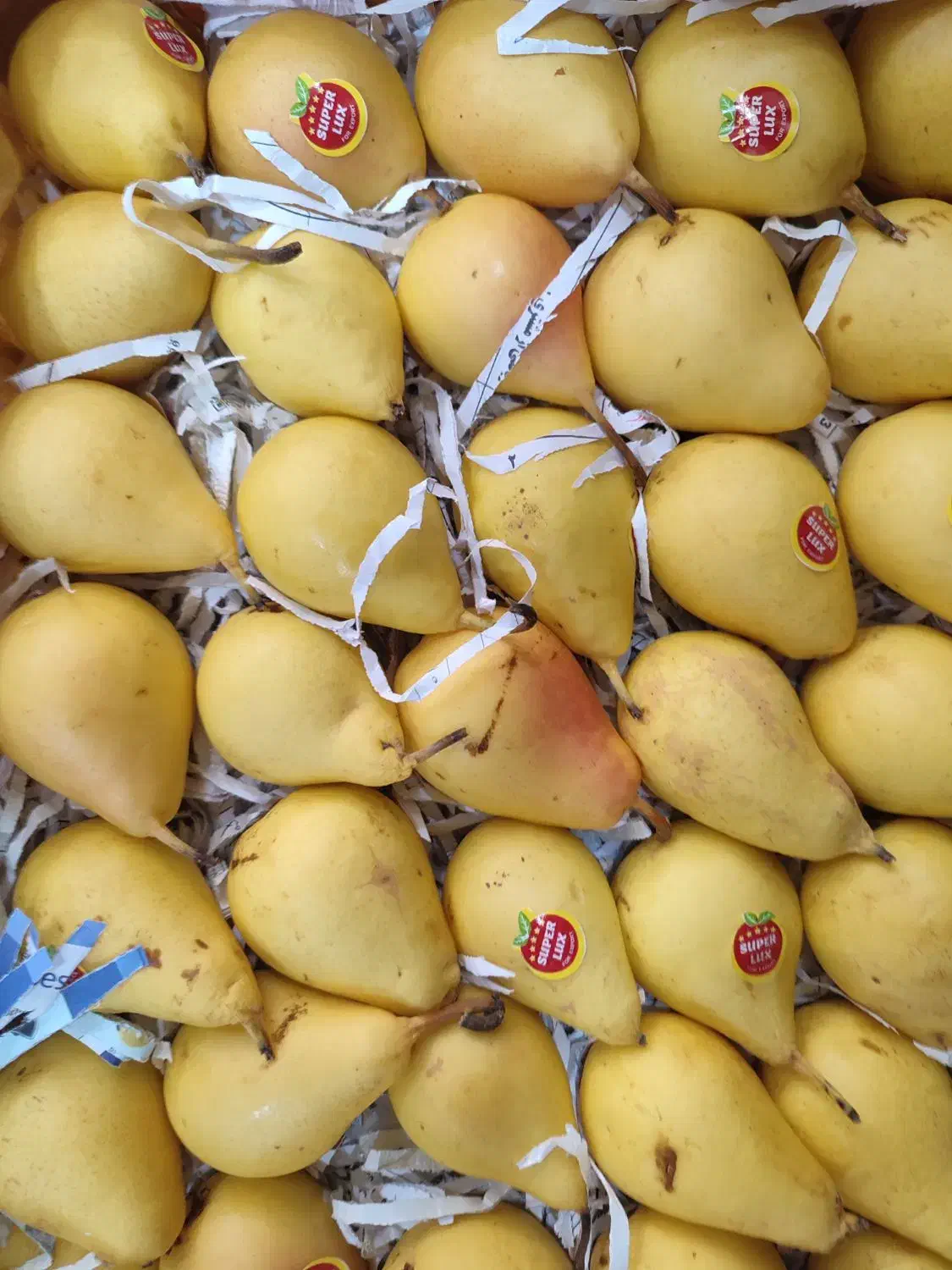 نیازمند فروشنده مغازه میوه فروشی|استخدام خدمات فروشگاه و رستوران|بندر گناوه, |دیوار