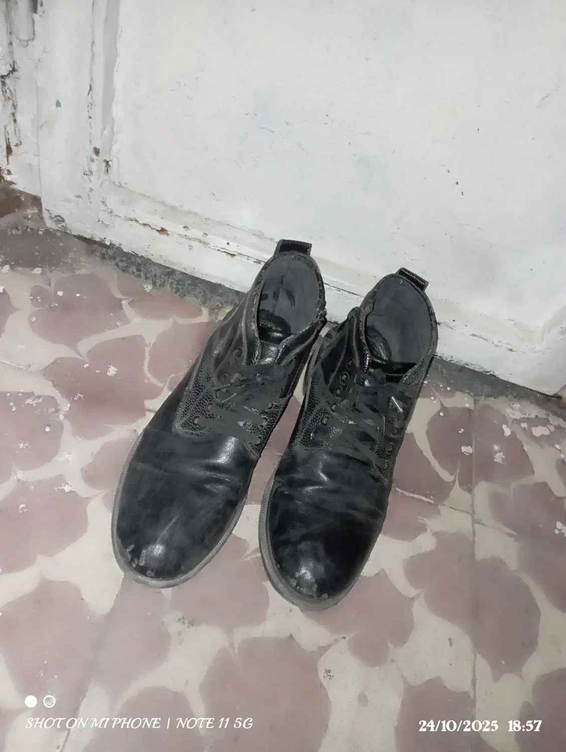 بوت مردانه|کیف، کفش، کمربند|مراغه, |دیوار