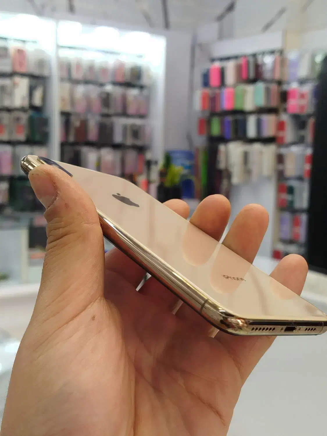 iphone xs max|موبایل|پرند, فاز ۲|دیوار