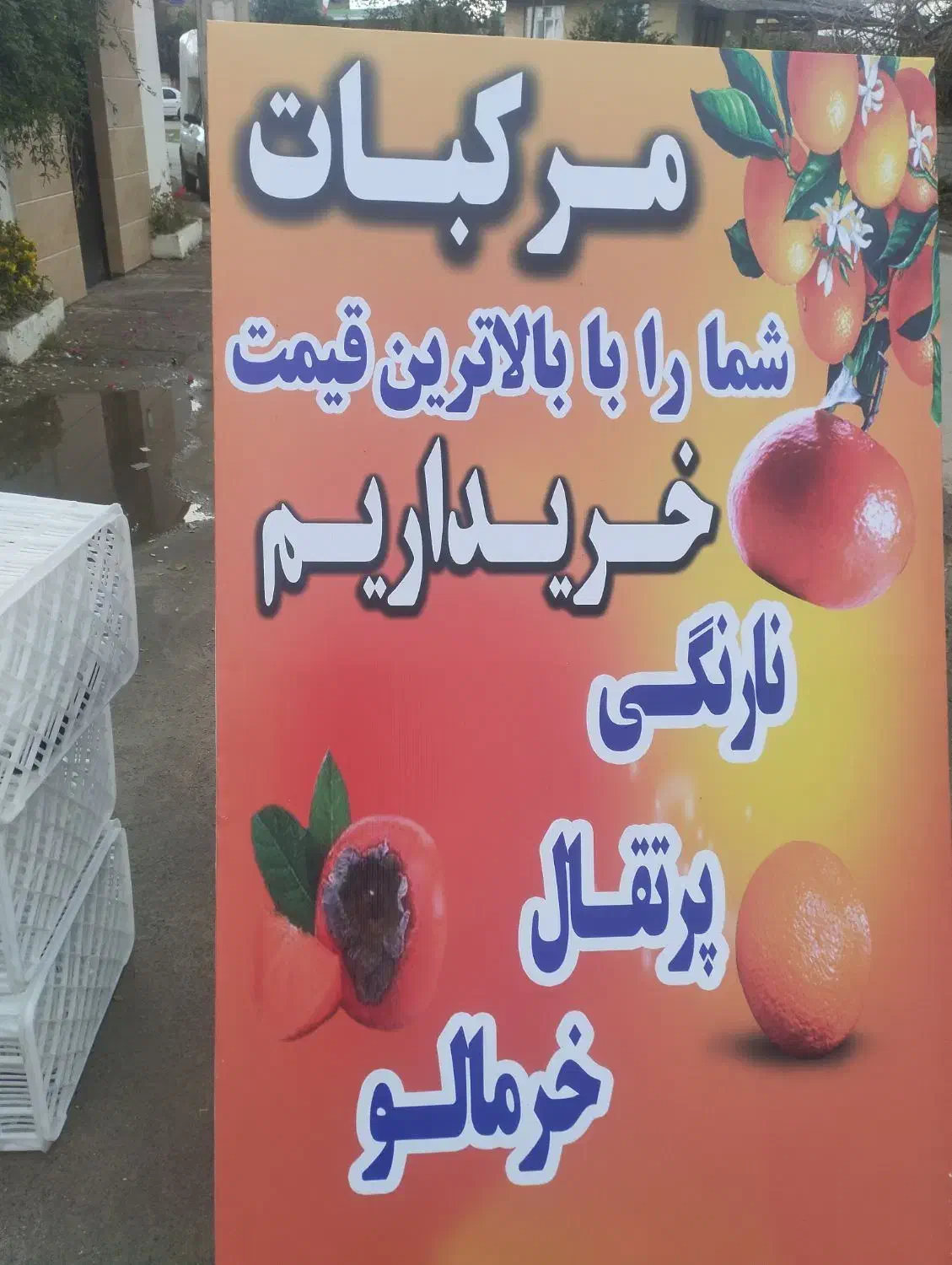 کارگر برای سورتینگ|استخدام صنعتی، فنی، مهندسی|مرزیکلا, |دیوار