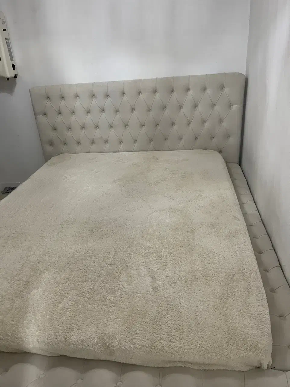 تخت چستر|تخت و سرویس خواب|رشت, فلسطین|دیوار