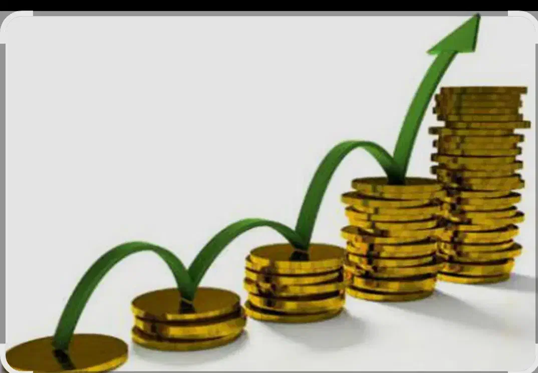 100ملیون سرمایه گذاری ماهی 15یا 20|خدمات مالی، حسابداری، بیمه|زاهدان, |دیوار