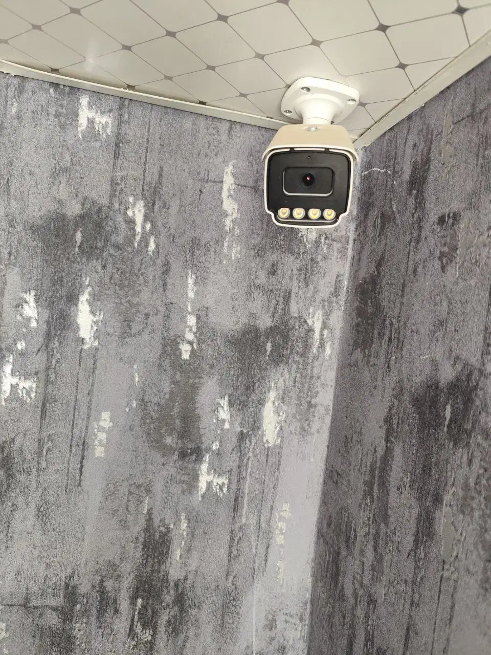دوربین مداربسته نو|دوربین مداربسته|زابل, |دیوار