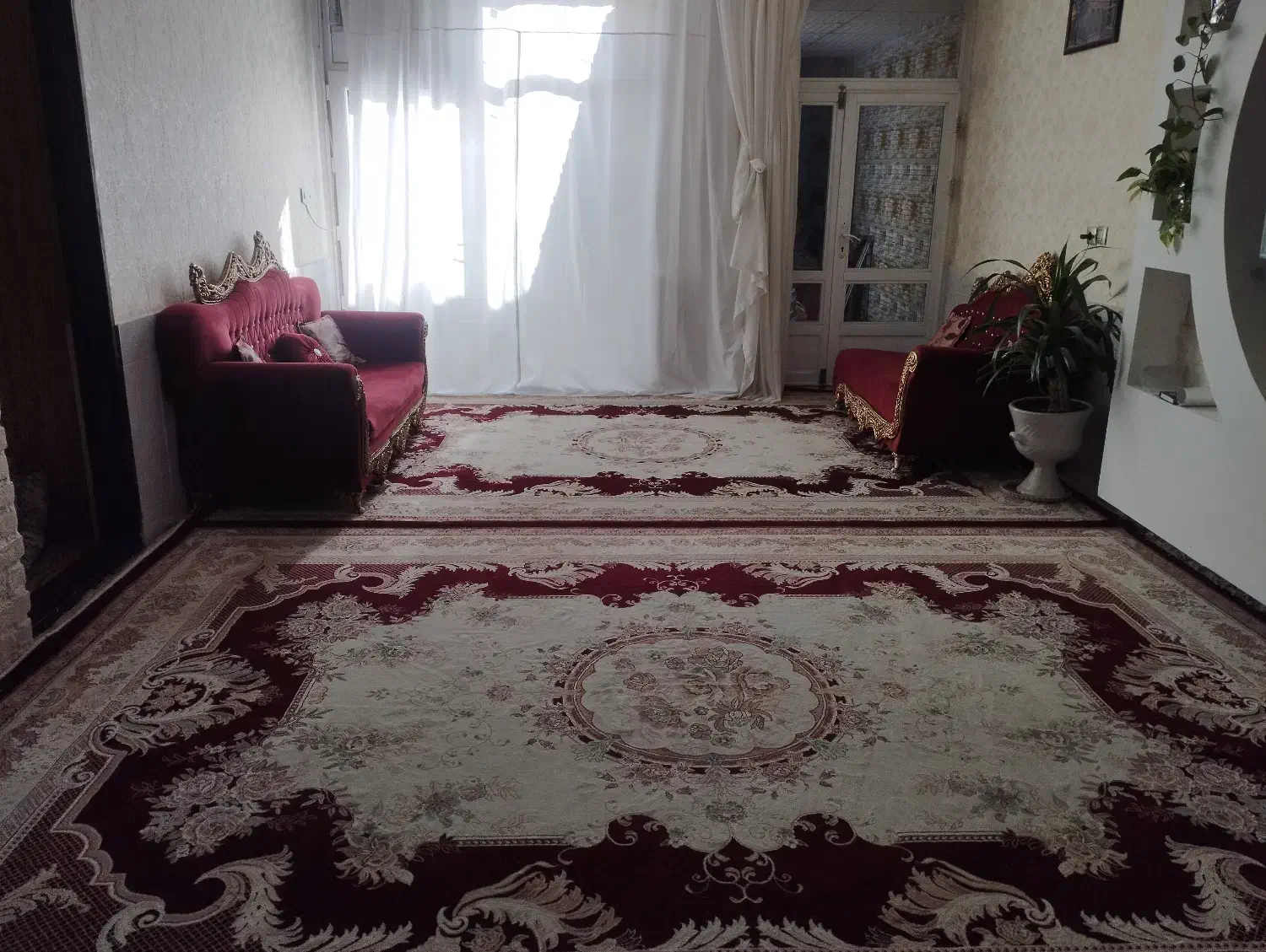 فرش12متری|فرش|تربت‌حیدریه, فرمانداری|دیوار