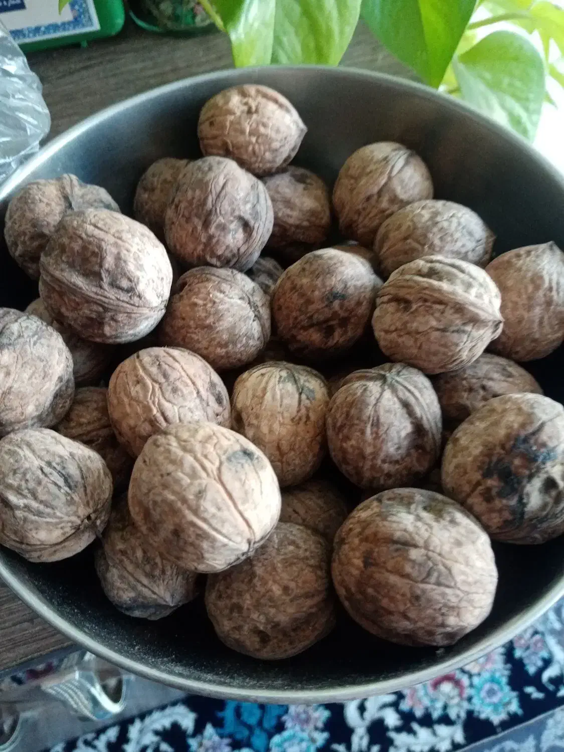 گردو|خوردنی و آشامیدنی|سبزوار, قصبه شرقی|دیوار