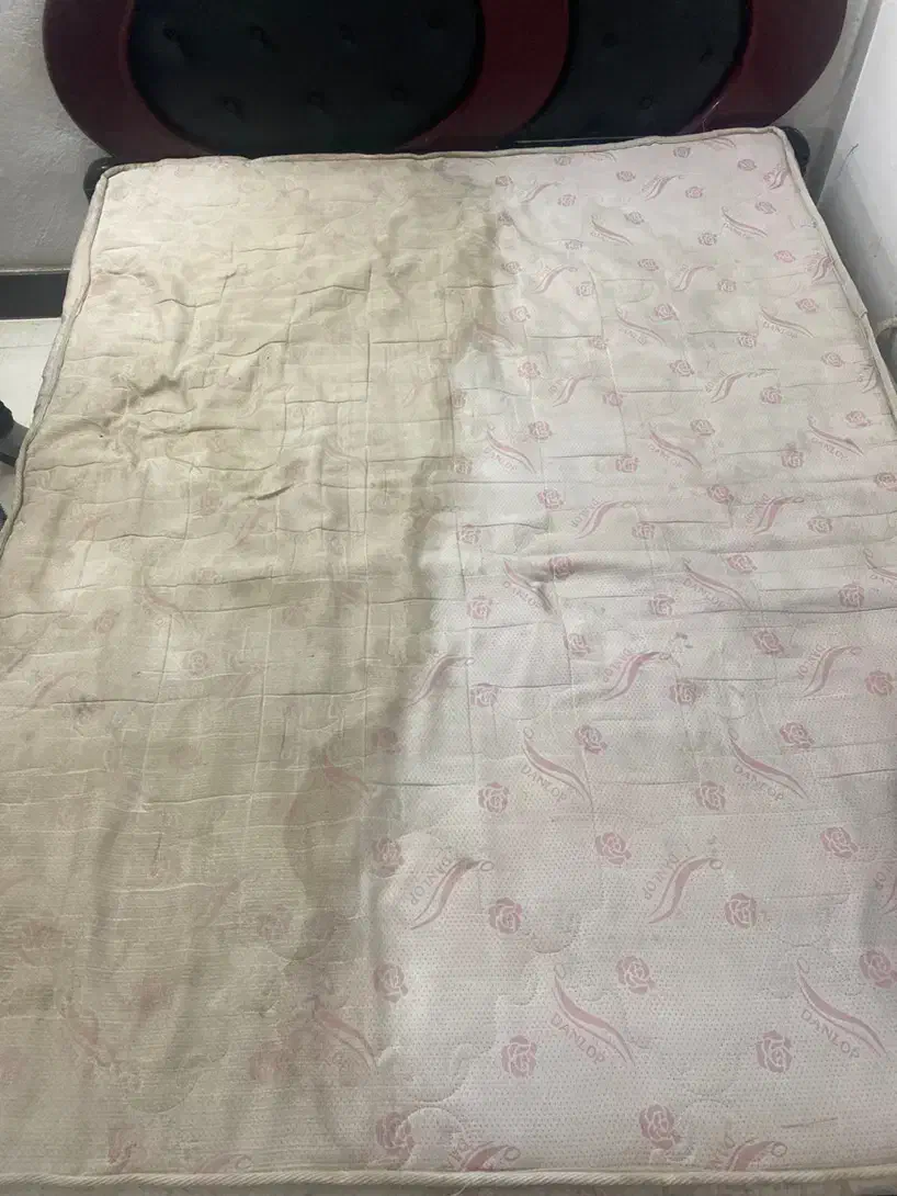 مبل شویی و قالی شویی تخصصی در منزل(با مواد نانو)|خدمات نظافت|آمل, |دیوار