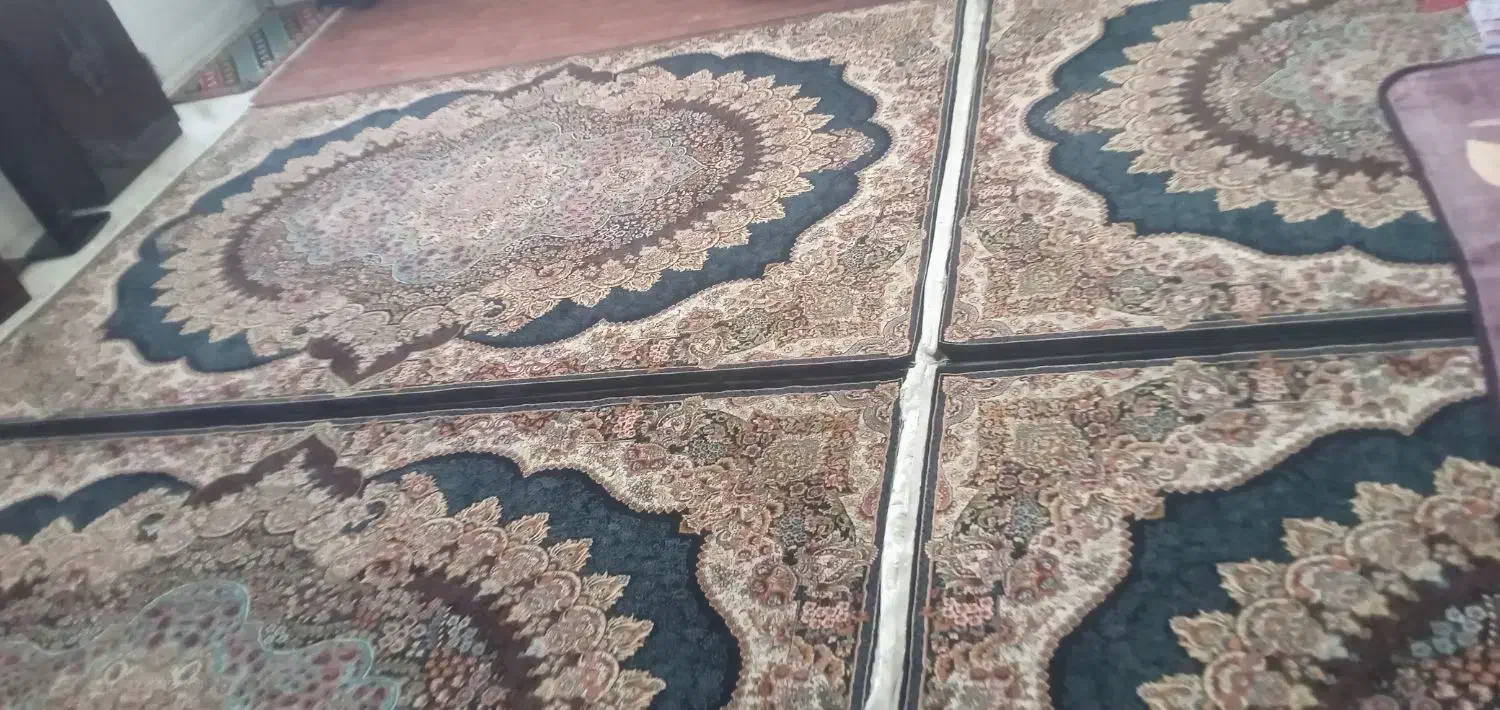 فرش ۶ متری|فرش|کرمانشاه, |دیوار