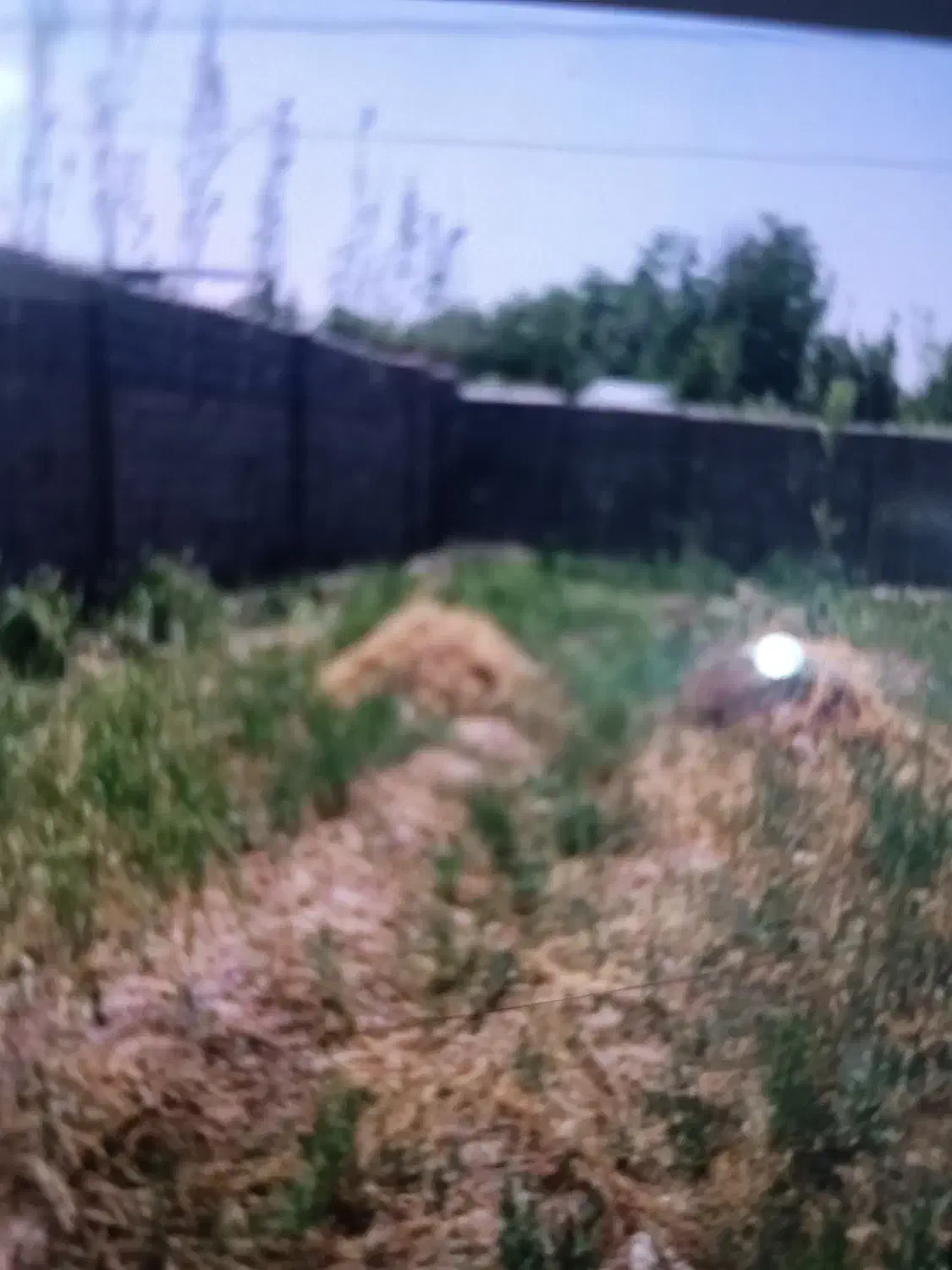 چهاردیواری|فروش زمین و ملک کلنگی|جوادآباد, |دیوار