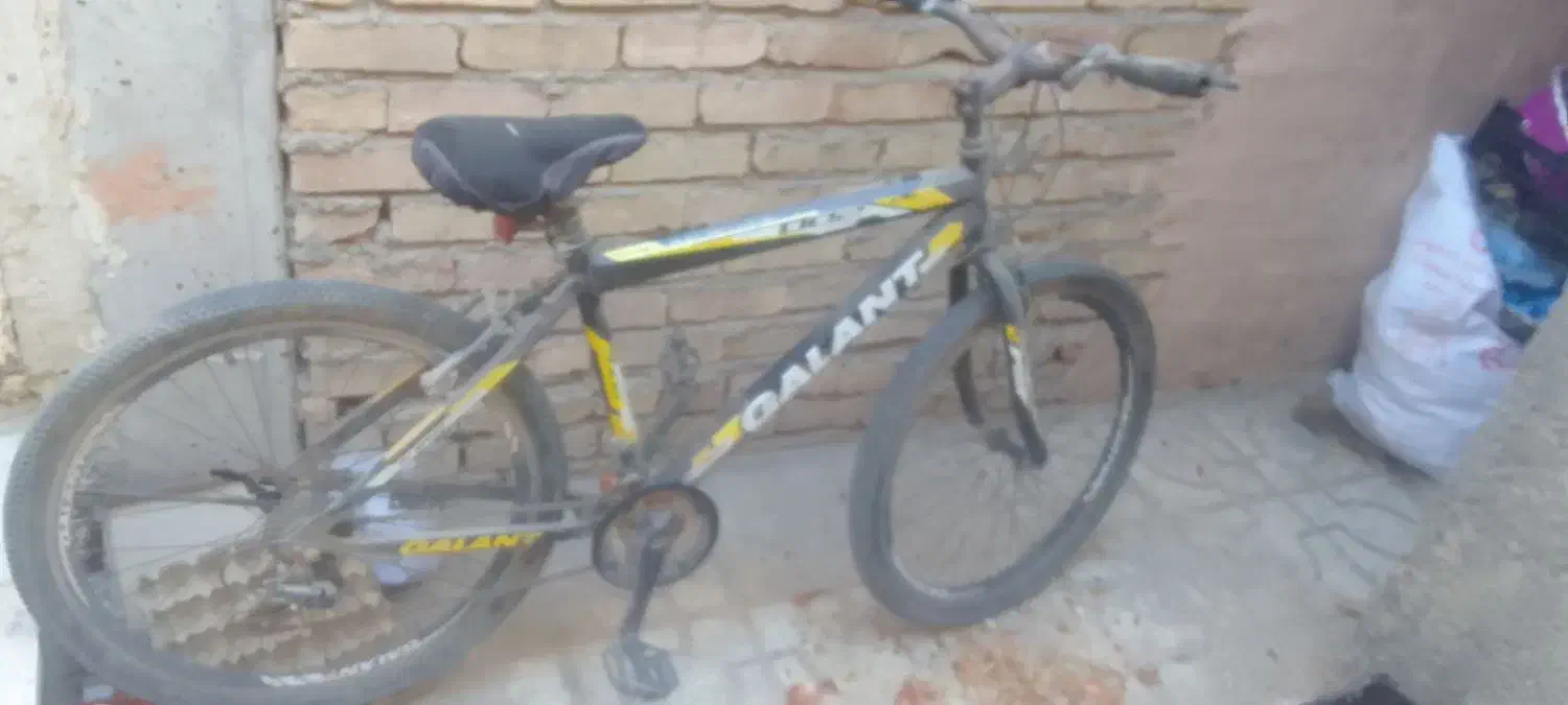 دوچرخه|دوچرخه، اسکیت، اسکوتر|اسفراین, |دیوار