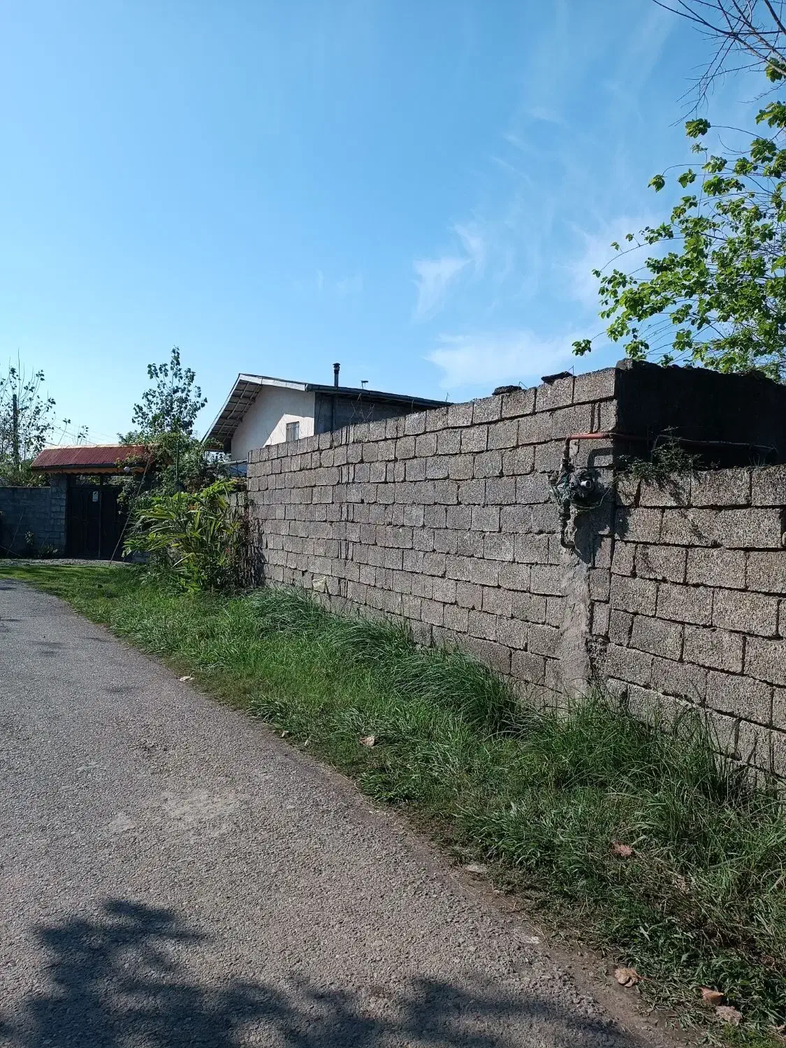 زمین مسکونی ۴۰۶ متری لنگرود با نامه بنیاد|فروش زمین و ملک کلنگی|لنگرود, |دیوار