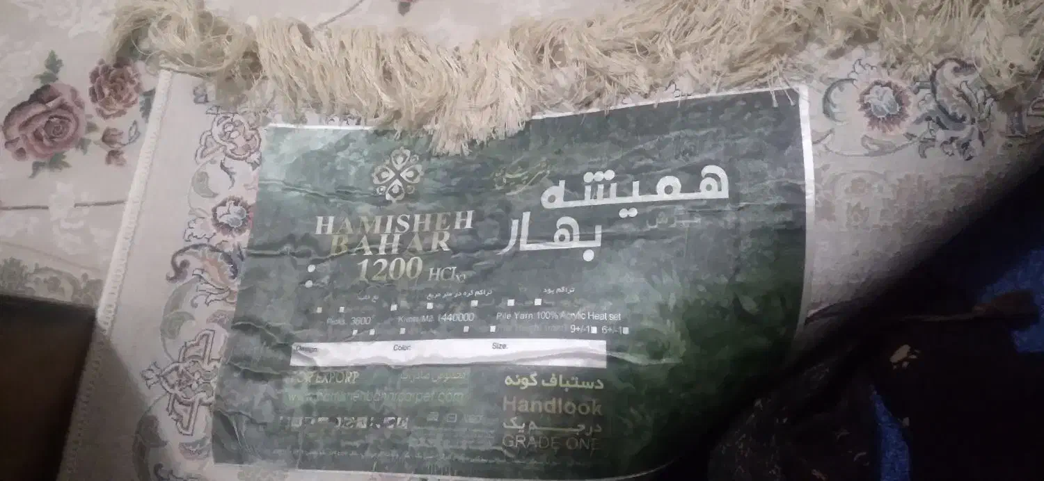 فرش همیشه بهار|فرش|برخوار, |دیوار