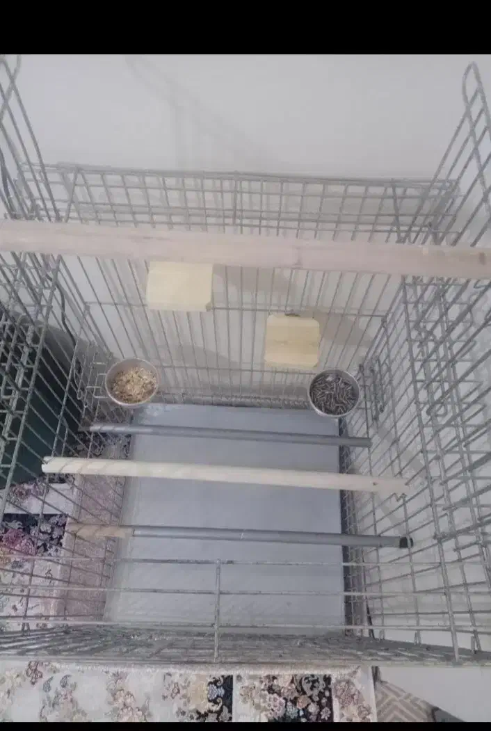 قفس پرنده|لوازم جانبی حیوانات|تهران, گلاب دره|دیوار