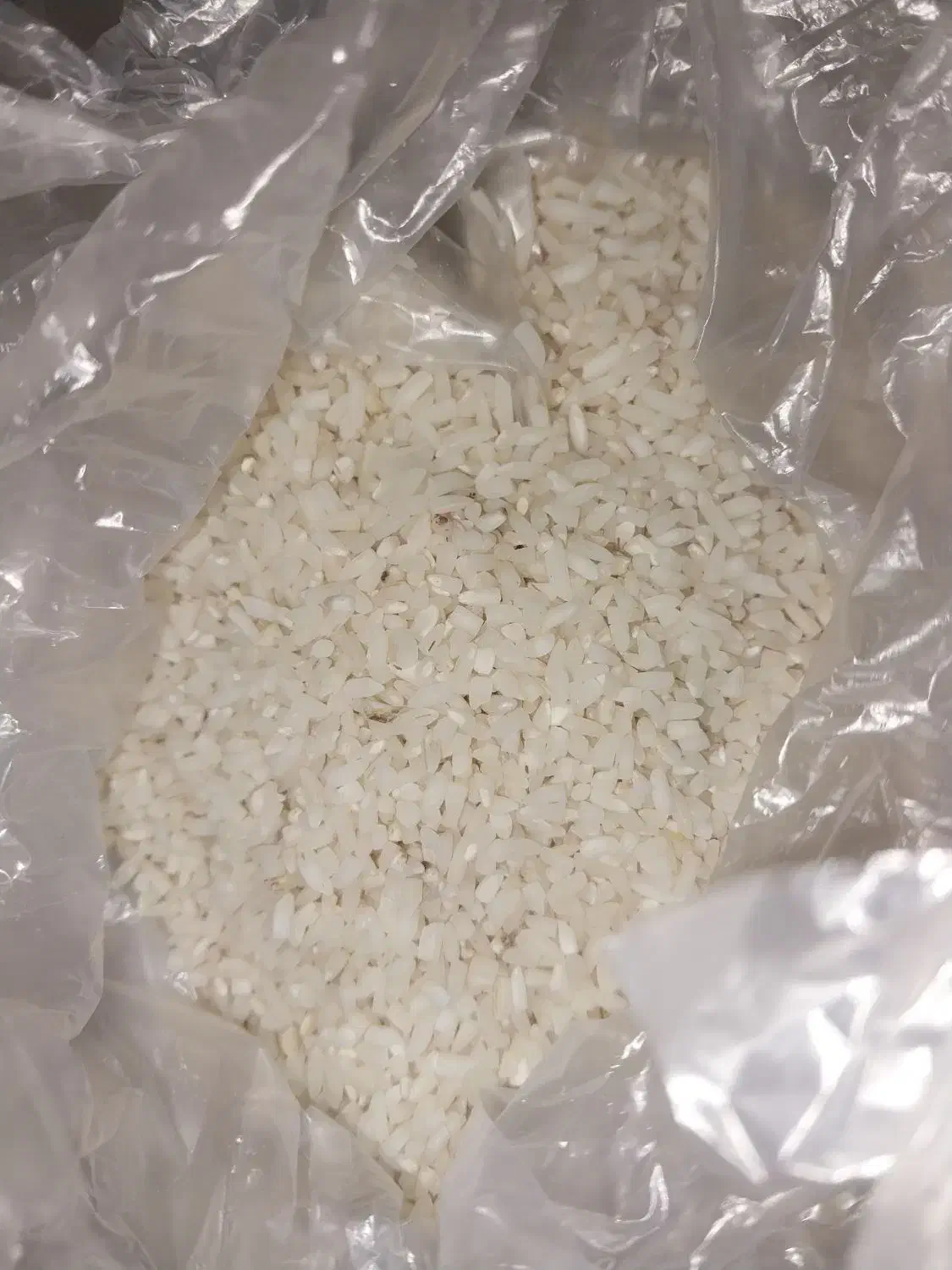 برنج هاشمی خوشپخت دانه بلند و نیم دانه،کشاورز هستم|خوردنی و آشامیدنی|رشت, سلیمانداراب|دیوار