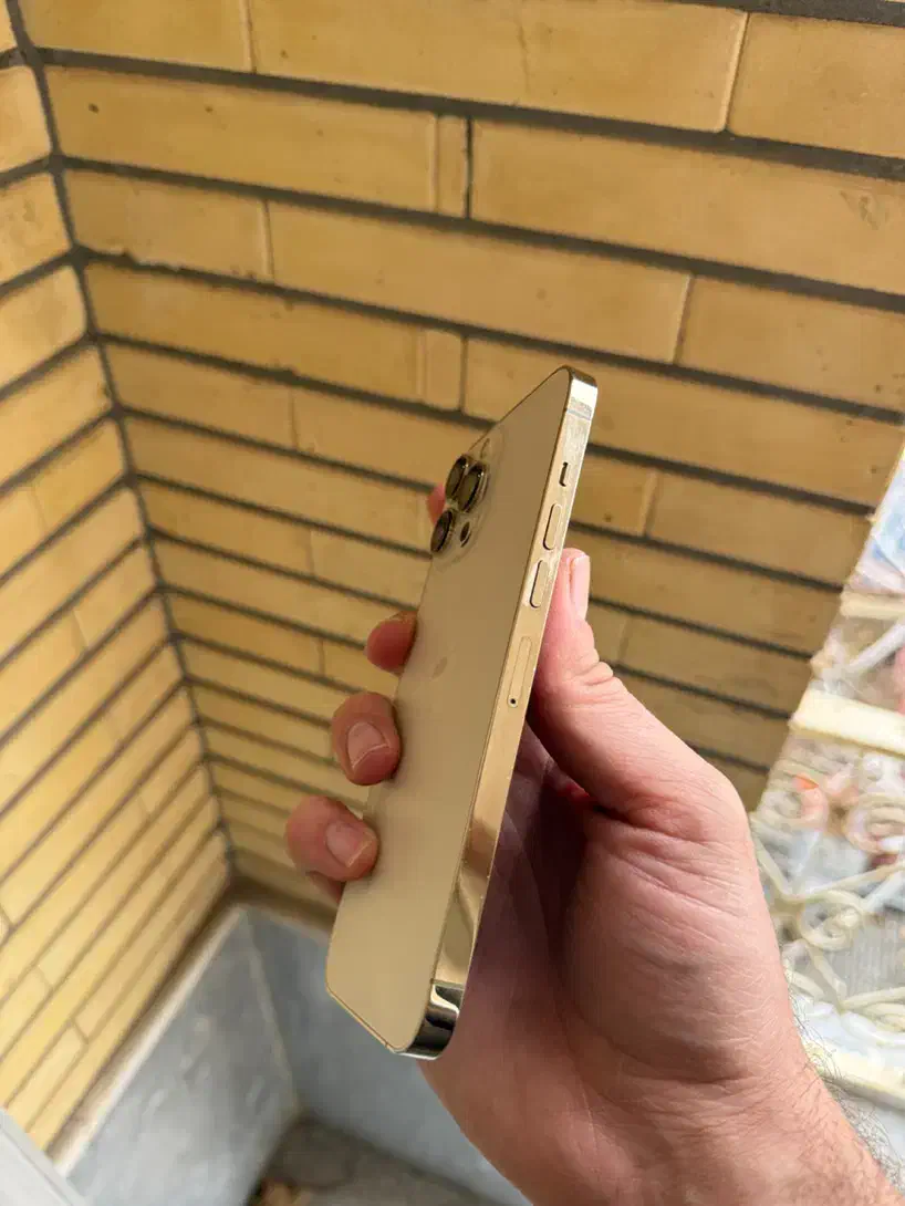 ۱۳ پرو مکس zaa دو سیم گلد ح ۲۵۶|موبایل|تبریز, |دیوار