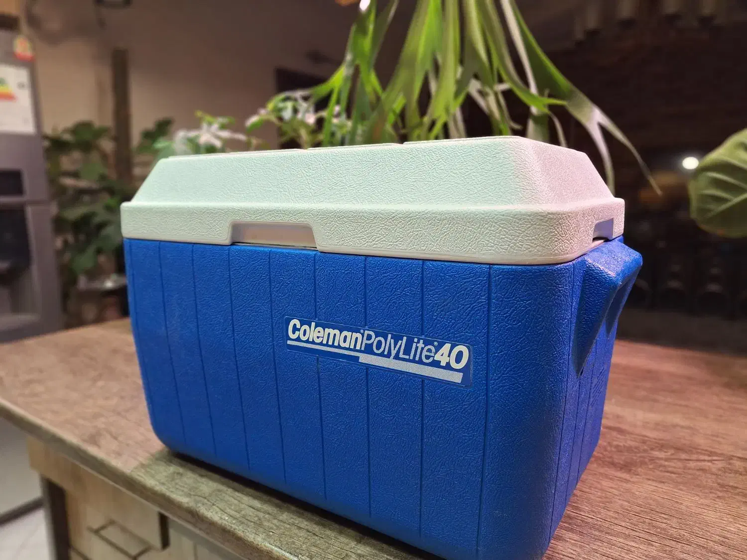 کلمن.یخدان|ظروف نگهدارنده، پلاستیکی، یک‌بارمصرف|تهران, نارمک جنوبی|دیوار