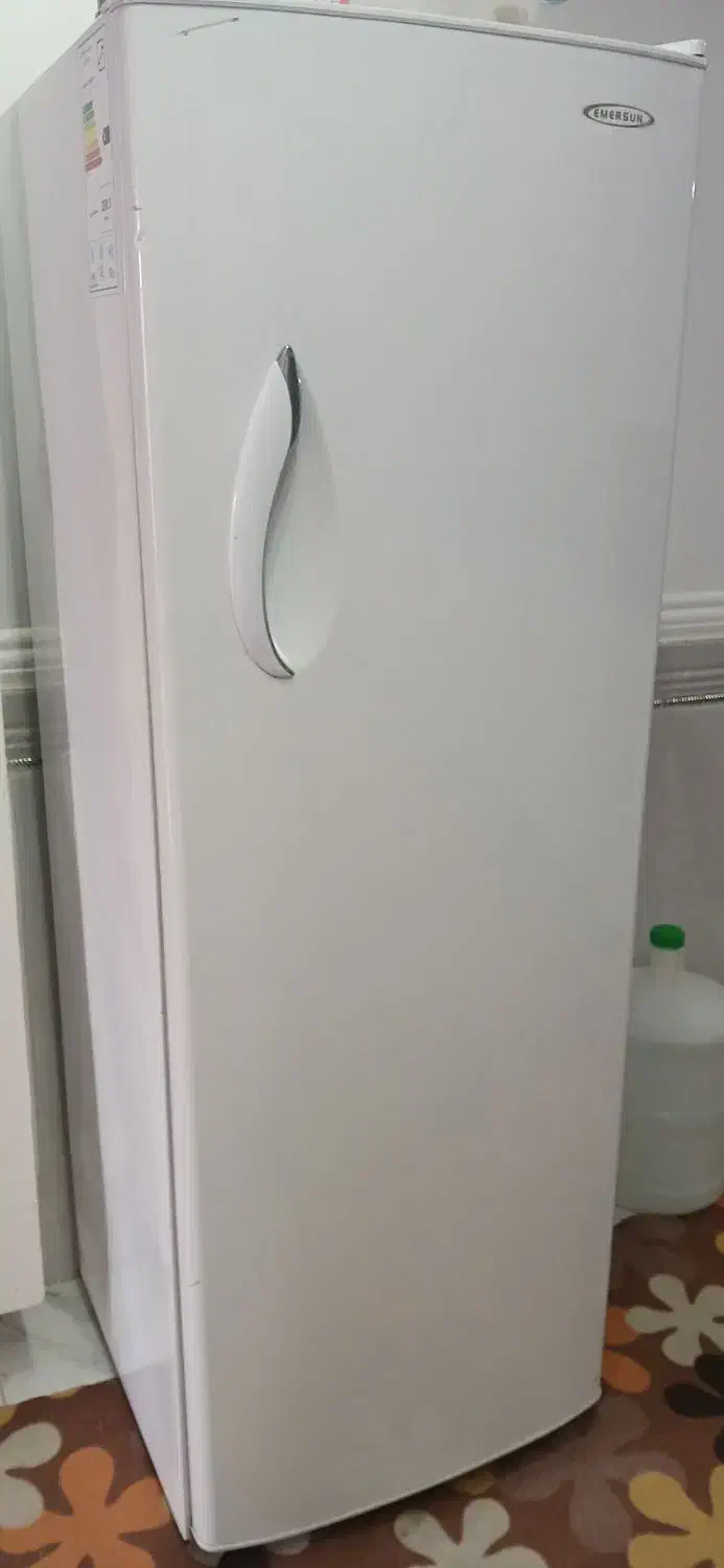 یخچال تمیز|یخچال و فریزر|کارون, |دیوار