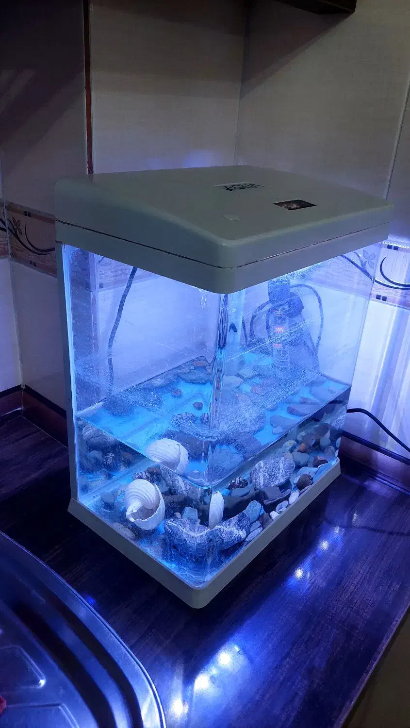 آکواریوم آماده شیشه خم|ماهی|اردبیل, |دیوار