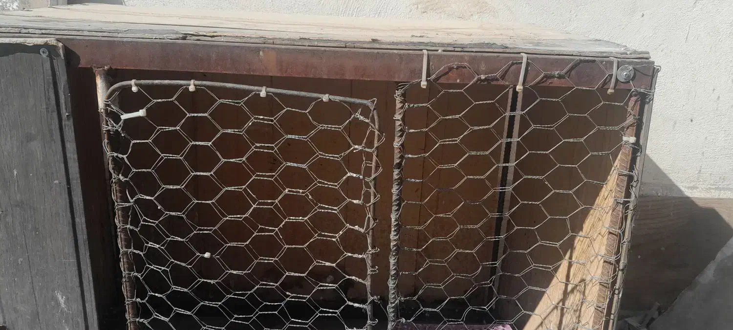 گنجه|لوازم جانبی حیوانات|قلعه نو, |دیوار