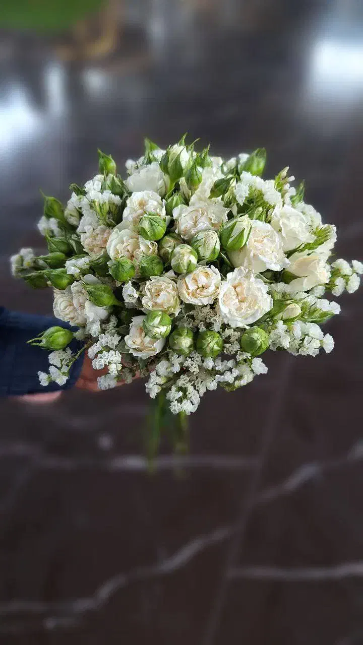 وام مهربانی|خدمات مالی، حسابداری، بیمه|تربت جام, یحیی آباد|دیوار