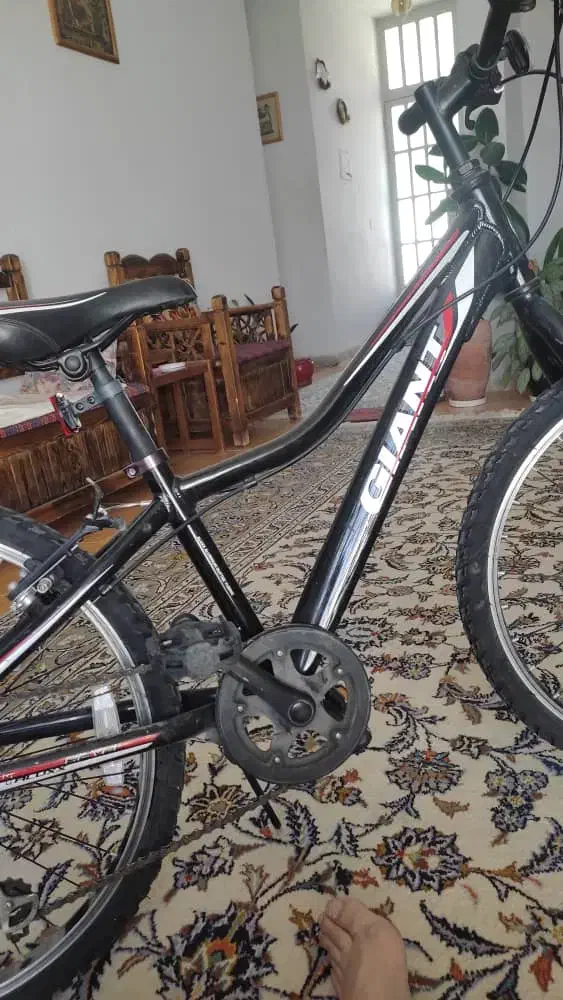 دوچرخه|دوچرخه، اسکیت، اسکوتر|صدرا-فارس, فاز ۱|دیوار