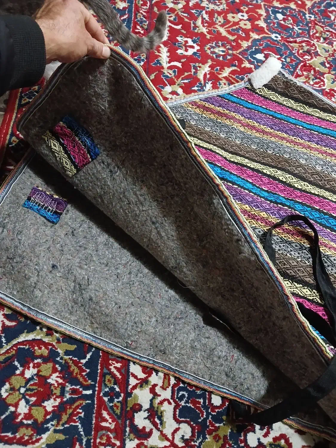 اسب و تجهیزات|اسب و تجهیزات اسبسواری|خشکبیجار, |دیوار