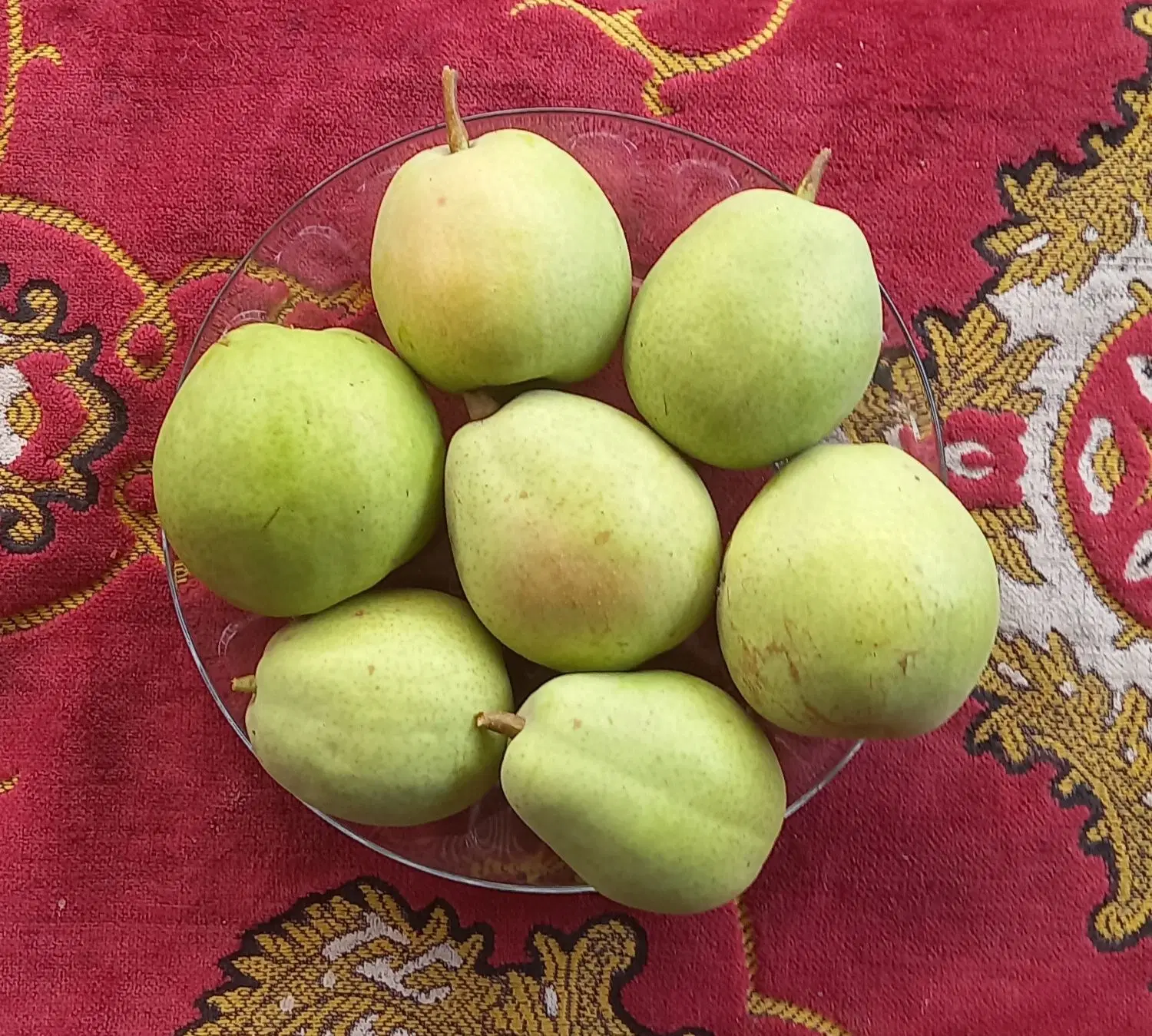 گلابی،|خوردنی و آشامیدنی|گنبد کاووس, |دیوار